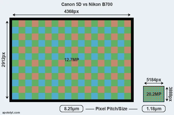5D versus B700 MP