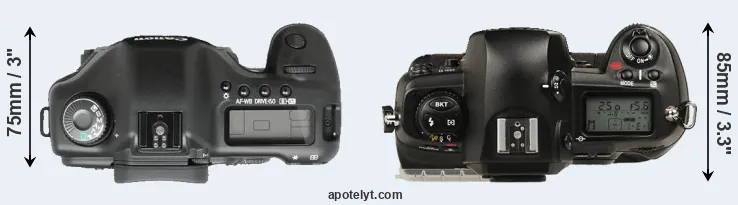 Compare 5D versus D1 top