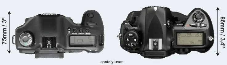 Compare 5D versus D2X top
