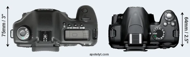 Compare 5D versus D3000 top