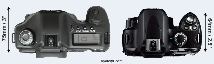 Compare 5D versus D40 top