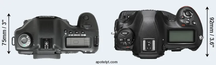 Compare 5D versus D6 top