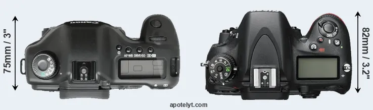 Compare 5D versus D600 top