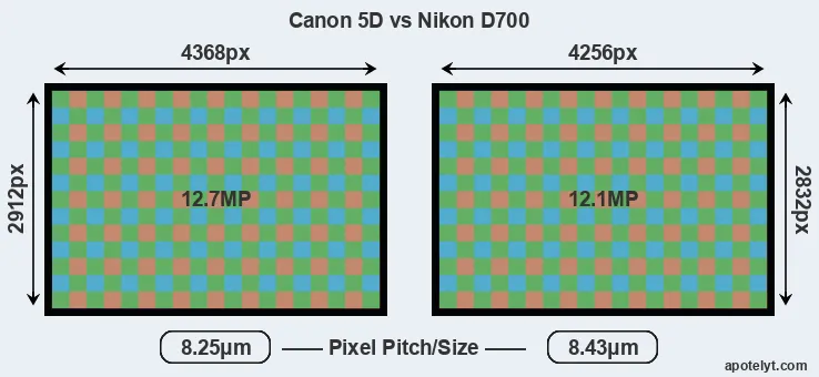 5D versus D700 MP