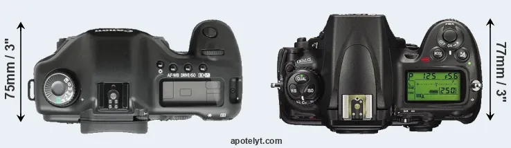 Compare 5D versus D700 top