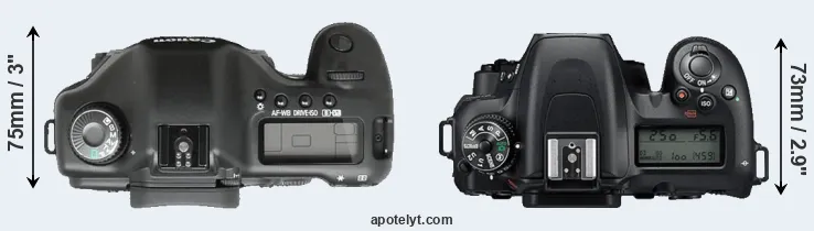 Compare 5D versus D7500 top
