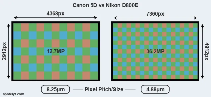 5D versus D800E MP