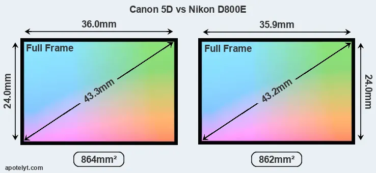 Canon 5D and Nikon D800E sensor measures