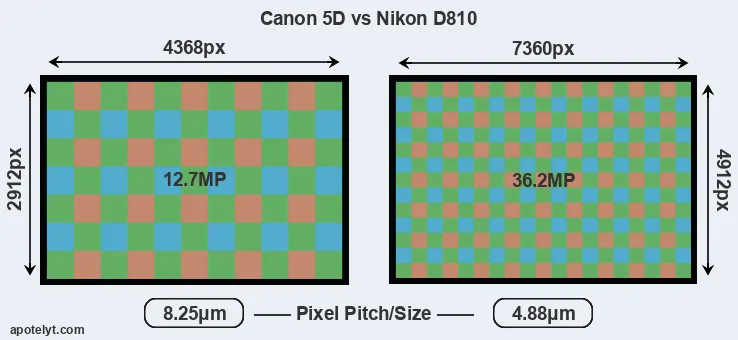 5D versus D810 MP