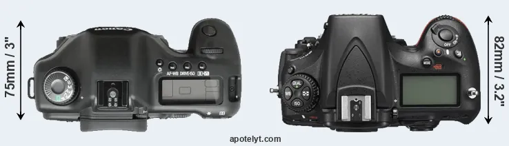 Compare 5D versus D810 top