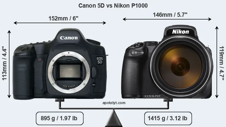 Size Canon 5D vs Nikon P1000