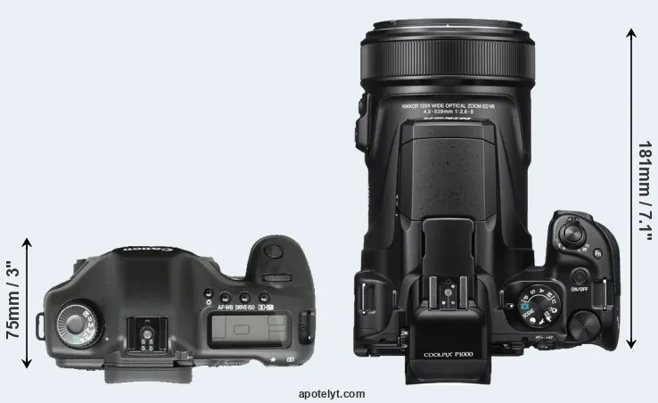 Compare 5D versus P1000 top