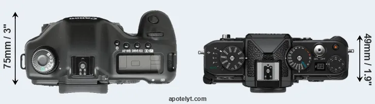 Compare 5D versus Zf top