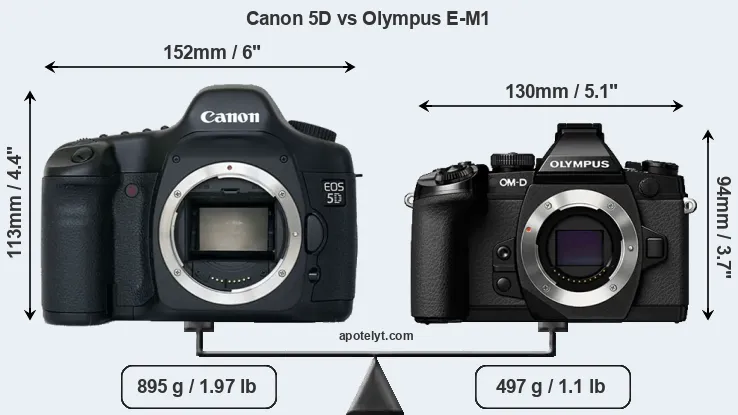 Size Canon 5D vs Olympus E-M1
