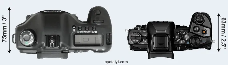 Compare 5D versus E-M1 top
