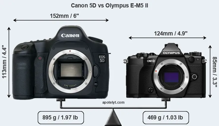 Size Canon 5D vs Olympus E-M5 II
