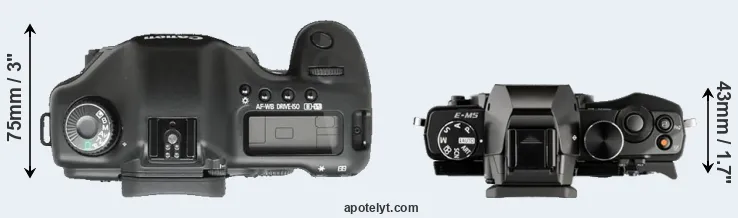 Compare 5D versus E-M5 top