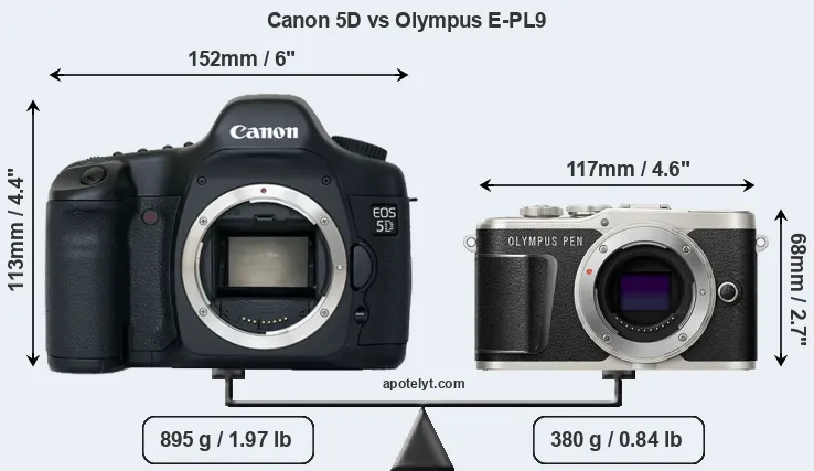 Size Canon 5D vs Olympus E-PL9
