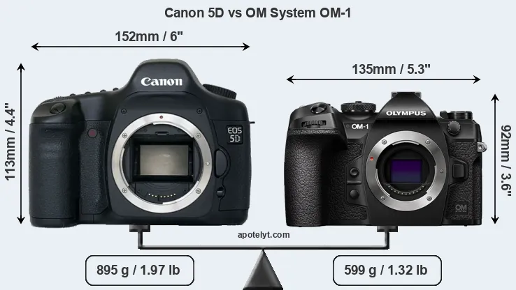 Size Canon 5D vs OM System OM-1