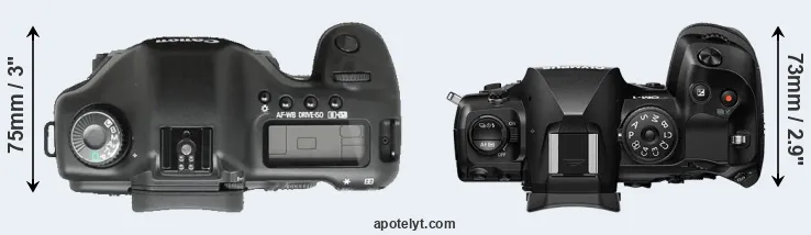 Compare 5D versus OM-1 top