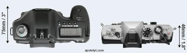 Compare 5D versus OM-3 top