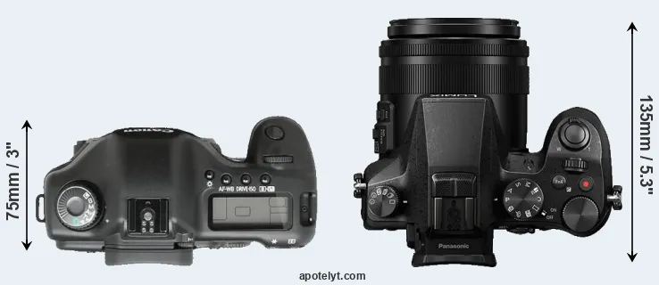Compare 5D versus FZ2000 top