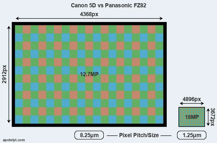 5D versus FZ82 MP