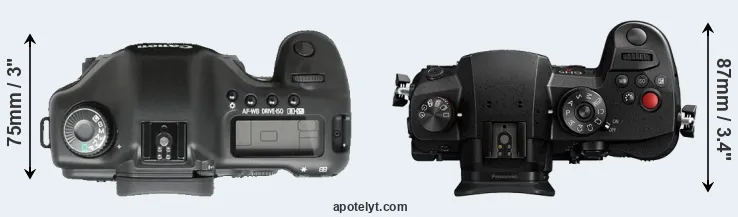 Compare 5D versus GH5 II top