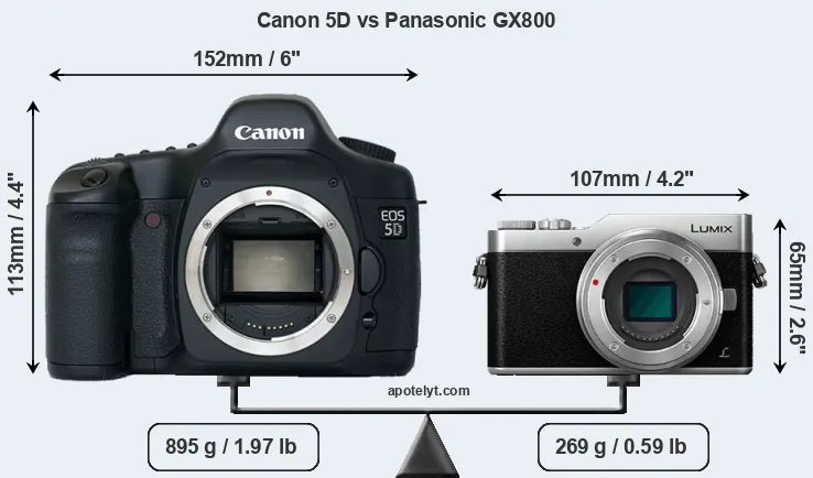 Size Canon 5D vs Panasonic GX800