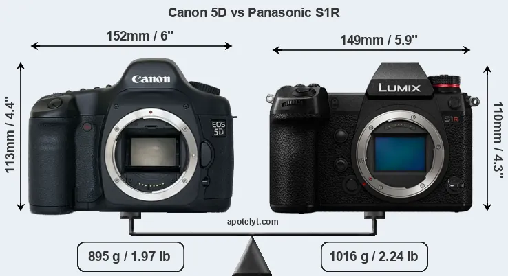 Size Canon 5D vs Panasonic S1R