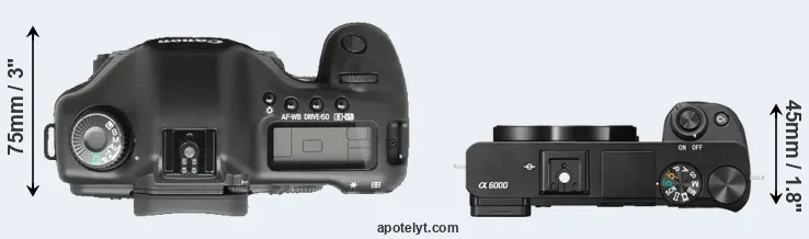 Compare 5D versus A6000 top