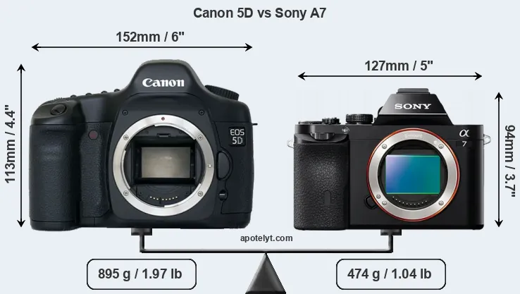 Size Canon 5D vs Sony A7