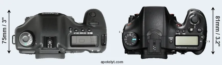 Compare 5D versus A77 top