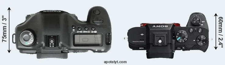 Compare 5D versus A7R II top