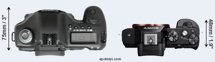 Compare 5D versus A7R top