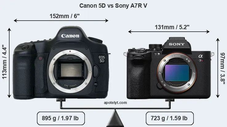 Size Canon 5D vs Sony A7R V