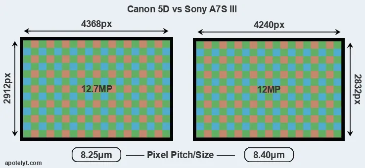 5D versus A7S III MP