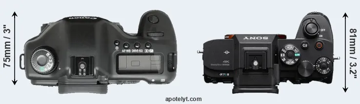 Compare 5D versus A7S III top