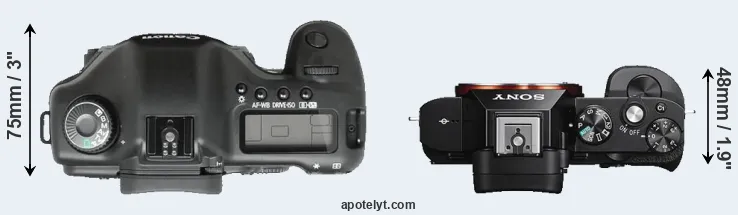 Compare 5D versus A7S top