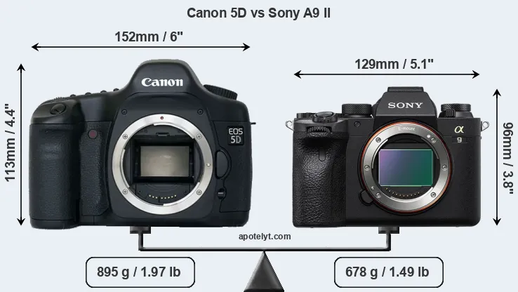 Size Canon 5D vs Sony A9 II