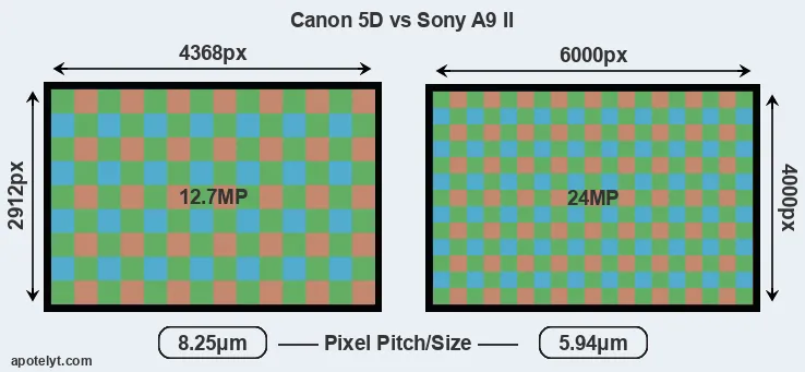 5D versus A9 II MP