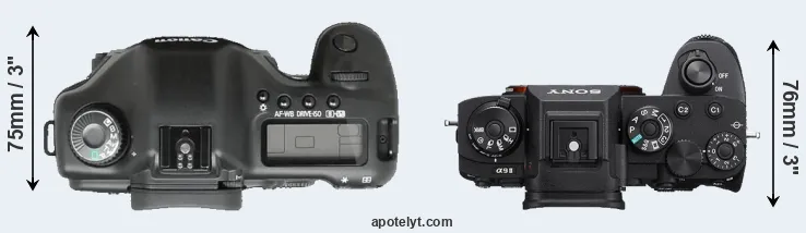 Compare 5D versus A9 II top