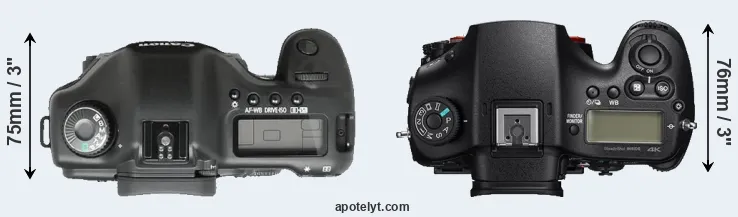 Compare 5D versus A99 II top