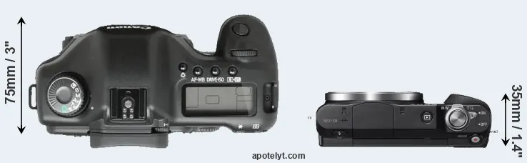 Compare 5D versus NEX-3N top