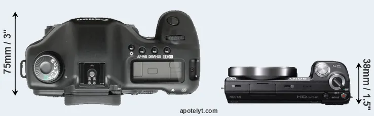 Compare 5D versus NEX-5N top