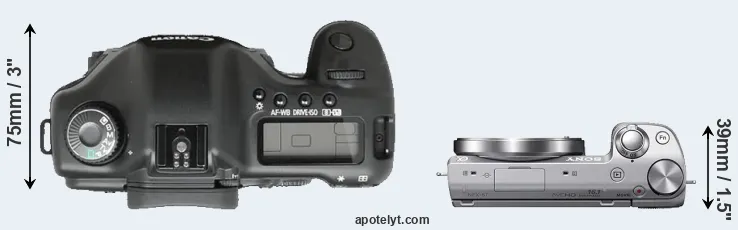Compare 5D versus NEX-5T top