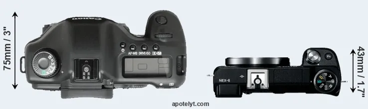 Compare 5D versus NEX-6 top