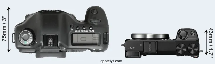 Compare 5D versus NEX-7 top