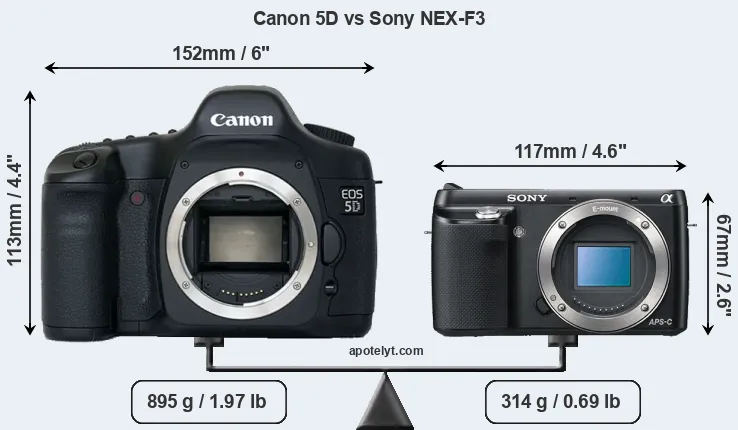 Size Canon 5D vs Sony NEX-F3