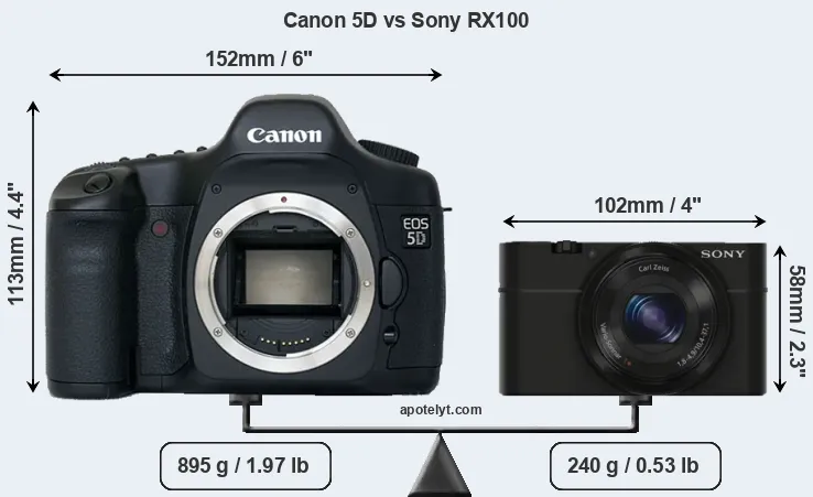 Size Canon 5D vs Sony RX100